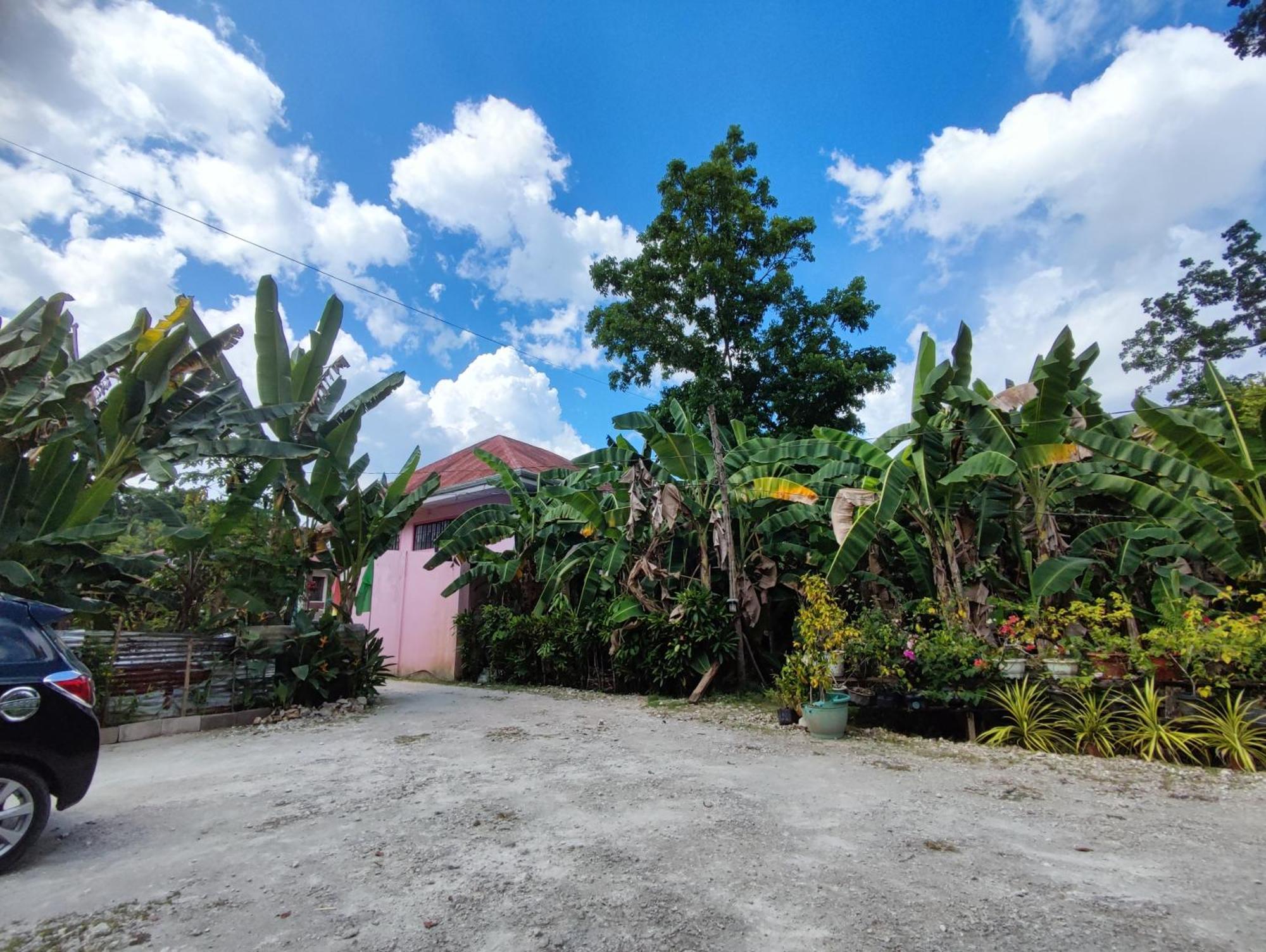 Antonio * Loboc
